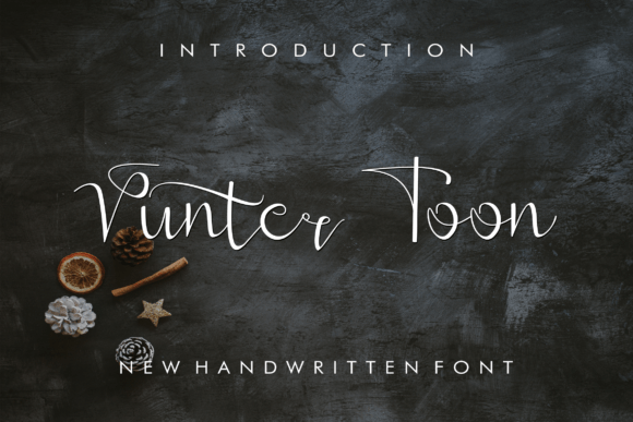 Vunter Toon: A Modern Handwritten Font for Branding